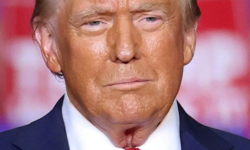 28e7f00e03bccc26fa7d3f1ab79653f2f042ac42ad421e3a136cf846a68adac4