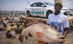 39239f1f62c5b7636e029d60967852aa5b86a6c5e82b332c8ab007932e9c488b