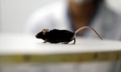 7ebe7b826a188a879d3950f0e036b3343bf924b19ba040dd2b8ac41333af9022