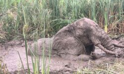 822f8ba61f145bde8b9c29242a6acffad638118dc2f8ff848b9402972841f7fc