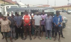 WhatsApp Image 2026 02 20 at 10.55.16 AM 700x341 1