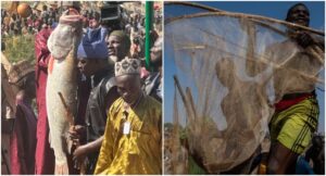 argungu fishing festival