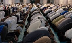 cf25aa32 c088 4898 9380 722a9f1ae6e3