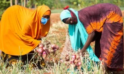 changing patriarchal somali culture one business time 1140x500 1
