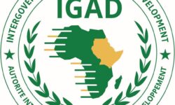 d19b24031a8096ac5d96d4f6d776a4c34f620742823cbafa4b4dd94dfb794a24