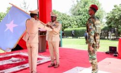 d5e2077a233235312e04f7497ea4cbc07c2ffab3ae3ac0dd341d55015f5dc369