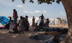 e8bade4504b175820a7959e7da8777225157856e5e10d6291e18700b8e91aac4