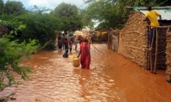 03f564a56a0bf6d0828df57f8fe4366160787d1b4b7d65f906c47be2dd24e59c