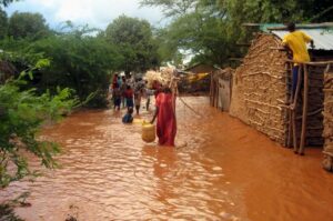 03f564a56a0bf6d0828df57f8fe4366160787d1b4b7d65f906c47be2dd24e59c