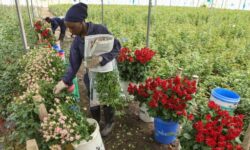 1774427481104 4vw09l 81f4976bfe7ebaae98015bb9f3ca6292ac5df412757e07b295da2a33ba7c6e9c