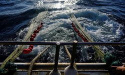 2025 12 13t142347z 125999306 rc2eeia49bsx rtrmadp 3 eu fishing main