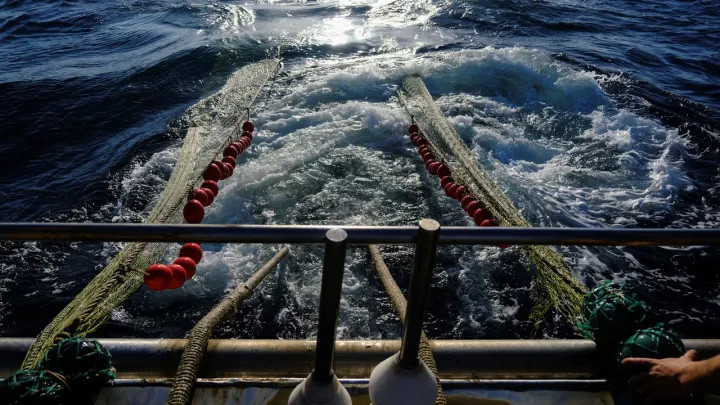 2025 12 13t142347z 125999306 rc2eeia49bsx rtrmadp 3 eu fishing main