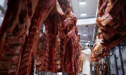 2026 01 17t101246z 1119234938 rc2a2ja62ykb rtrmadp 3 eu mercosur paraguay