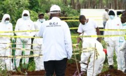 2467f1e0 282c 11f1 b289 fd2d6419405a