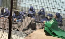 2f5b668be6fe77635036abe320209fa87c3f22644176a2b5bf04e5c3dae12fa0