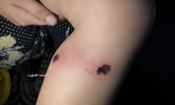 378c1975fcbe1c941d45af4bdefdd3c37773317eb61caa008d5c740fd28af47a