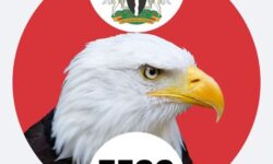 497640772 1196569345839600 3178587344238694770 n