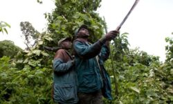 5094c3fdae3aa53471754ed4ad2b58bb1d09ac486b4287592e7e56951764c3db