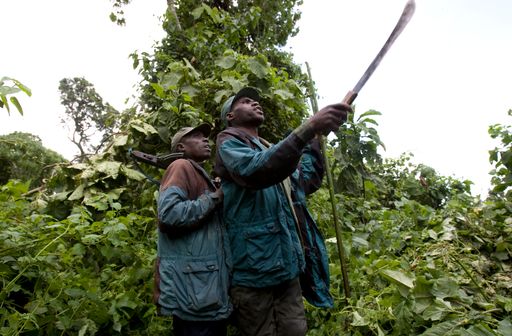 5094c3fdae3aa53471754ed4ad2b58bb1d09ac486b4287592e7e56951764c3db