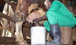 552945a99baf61e37940b6729c4aab9fdace01b2eb600877f00063f90b6eef0e