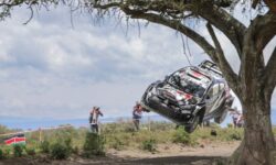 7f2d54ed 9b0b 418e 9e1f fc104137b889