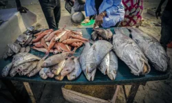 900x506 cmsv2 64bae09a ac53 5860 bccf cfe470f51f0b 9286284