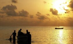 9089031137df23e7e4dfa25a9cc1b0f2680382df31c7bba91556d60fb8bb4e5d