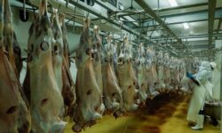 a938d54f47652f79f10d55437c45f3b7b699cb65d848263010680586fd401c6c