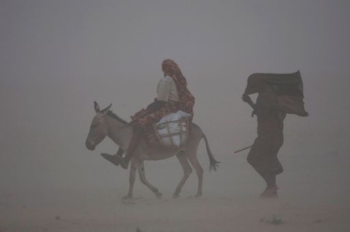 b8a7dd1732799fce36ec6365192a4ace8d97953b512cc3c2060d5382f9813fdb