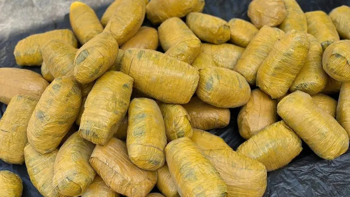 c559522d15a20abff5593ef4a8a63dbf03613b91d091f67fc9b0200cd7b94910 main