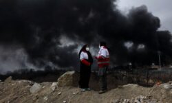 de8546bfd14cc591abf2f4f298314161731218c015fc352c9cc0fa677ce42662