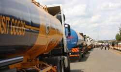 tOEh8y4GueVKfmTN0m5Kbe7T1y7Q6MHrP2x4v13O