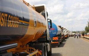 tOEh8y4GueVKfmTN0m5Kbe7T1y7Q6MHrP2x4v13O