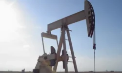 thumbs b c 087b2b3a85f501979ed7277c91769f32