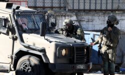 thumbs b c 1698db1d2e111fa75eb61354e785cf88