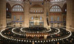 thumbs b c 3077bbf2e27e38d608b93044c826453c