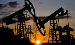 thumbs b c d8d1dec29023b3266e8970b052ff5498