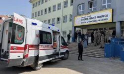 1536x864 cmsv2 588f846c 34b7 515b 8f2e e527bcff09fa 9721226