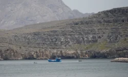 1776855338037 ahspdu c4e9801e4d4d7731ec52759a0419654951cc754b4438b767d19e84a1e181b2c2