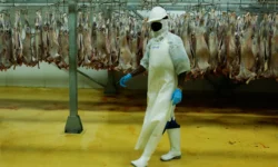 235fec56eb48ce6502404a33f31c954297166803378ee8e959ee9bd80994dd1d