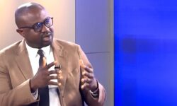 3tdtkeqk4eo e1775038231370