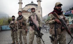 4a6900b0 4248 11f1 85a4 6fbea57c2af5.jpg