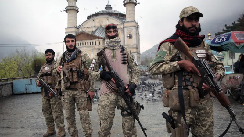 4a6900b0 4248 11f1 85a4 6fbea57c2af5.jpg