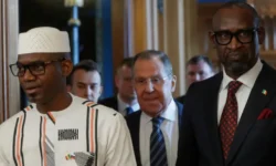 82cd4c50 418e 11f1 bd52 e755d604ece4.jpg