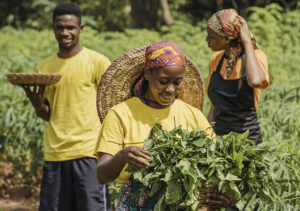 African agriculture