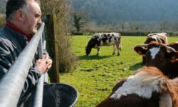 Jocelyn Bertrand bd 09 768x513 1