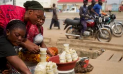 Nigeria Shea Nuts Ban 75037 1