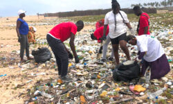 ONG dechets plastiques pollution 12