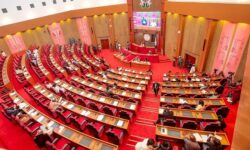 Senate e1775038466742