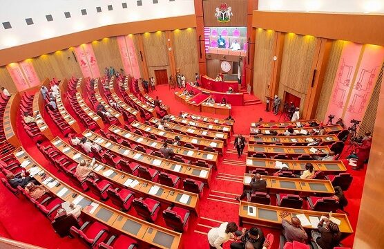 Senate e1775038466742